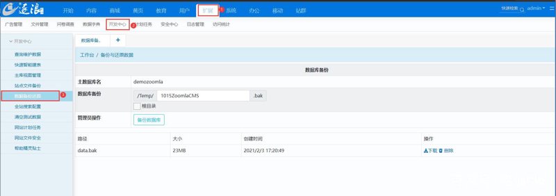 站群系统在当前网络营销环境中的应用与挑战